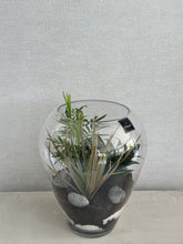 Charger l'image dans la galerie, Terrarium « Globe green »
