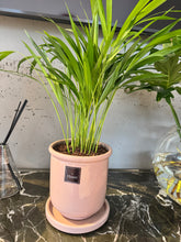 Charger l'image dans la galerie, Plante naturelle Areca dans son pot céramique couleur arizona