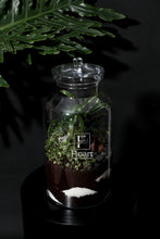 Charger l'image dans la galerie, Grand Terrarium « Forest »