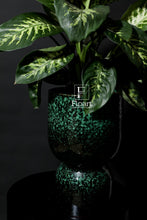 Charger l'image dans la galerie, Plante dieffenbachia