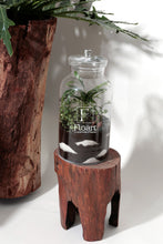 Charger l'image dans la galerie, Grand Terrarium « Forest »