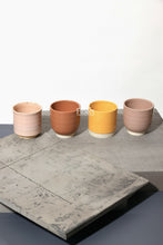 Charger l'image dans la galerie, Orchidée naturelle