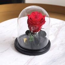 Charger l'image dans la galerie, Rose éternelle sous cloche rouge Small