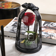 Charger l'image dans la galerie, Rose éternelle rouge sous cloche Classy One