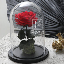 Charger l'image dans la galerie, Rose éternelle rouge sous cloche Medium