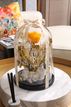 Charger l'image dans la galerie, Jardin enchanté rose éternelle rose jaune