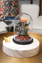 Charger l'image dans la galerie, Jardin enchanté rose éternelle rose rouge jardin cadeau livraison partout au maroc pêche