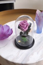 Charger l'image dans la galerie, fleurs séchées livraison cadeau cadeaux arrangement florale lys rose éternelle rose rouge fleuriste casablanca créations florales design floral décoration maison événements fleur éternelle rose immortelle éternelle rose rouge fleuriste sous cloche amour