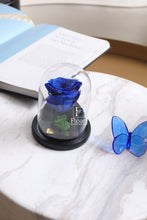 Charger l'image dans la galerie, medium-rose-eternelle→medium-rose-eternelle rose éternelle cloche rouge immortelle cadeau cadeaux entreprise mariage corporate femme fleuriste Casablanca cloche blue bleue rose