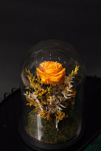 Charger l'image dans la galerie, Jardin enchanté roses éternelles