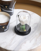 Charger l'image dans la galerie, fleurs séchées livraison cadeau cadeaux arrangement florale lys rose éternelle rose rouge fleuriste casablanca créations florales design floral décoration maison événements fleur éternelle rose immortelle éternelle rose rouge fleuriste sous cloche amour Blanc