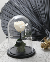 Charger l'image dans la galerie, medium-rose-eternelle→medium-rose-eternelle rose éternelle cloche rouge immortelle cadeau cadeaux entreprise mariage corporate femme fleuriste Casablanca cloche White