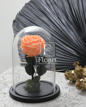 Charger l'image dans la galerie, medium-rose-eternelle→medium-rose-eternelle rose éternelle cloche rouge immortelle cadeau cadeaux entreprise mariage corporate femme fleuriste Casablanca cloche