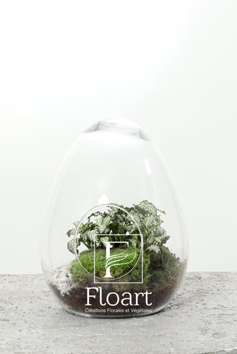  mousse green vert terre fleuriste livraison plante naturelle cadeau corporate cadeaux d’affaires décoration maison vivant