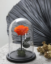 Charger l'image dans la galerie, medium-rose-eternelle→medium-rose-eternelle rose éternelle cloche rouge immortelle cadeau cadeaux entreprise mariage corporate femme fleuriste Casablanca cloche