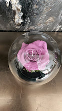 Charger l'image dans la galerie, fleurs séchées livraison cadeau cadeaux arrangement florale lys rose éternelle rose rouge fleuriste casablanca créations florales design floral décoration maison événements fleur éternelle rose immortelle éternelle rose rouge fleuriste sous cloche amour