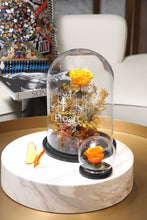 Charger l'image dans la galerie, Jardin enchanté rose éternelle rose rouge jardin cadeau livraison partout au maroc jaune