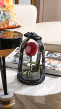Charger l'image dans la galerie, fleurs séchées livraison cadeau cadeaux arrangement florale lys rose éternelle rose rouge fleuriste casablanca créations florales design floral décoration maison événements fleur éternelle rose immortelle éternelle rose rouge fleuriste sous cloche amour