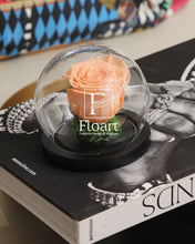 Charger l'image dans la galerie, Rose éternelle sous cloche Baby Rose petit prix