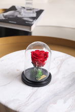 Charger l'image dans la galerie, fleurs séchées livraison cadeau cadeaux arrangement florale lys rose éternelle rose rouge fleuriste casablanca créations florales design floral décoration maison événements fleur éternelle rose immortelle éternelle rose rouge fleuriste sous cloche amour Rouge