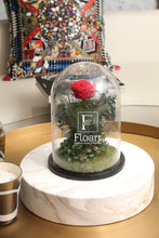 Charger l'image dans la galerie, Jardin enchanté rose éternelle rose rouge jardin cadeau livraison partout au maroc rouge