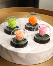 Charger l'image dans la galerie, fleurs séchées livraison cadeau cadeaux arrangement florale lys rose éternelle rose rouge fleuriste casablanca créations florales design floral décoration maison événements fleur éternelle rose immortelle éternelle rose rouge fleuriste sous cloche amour