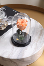 Charger l'image dans la galerie, fleurs séchées livraison cadeau cadeaux arrangement florale lys rose éternelle rose rouge fleuriste casablanca créations florales design floral décoration maison événements fleur éternelle rose immortelle éternelle rose rouge fleuriste sous cloche amour