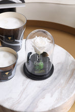 Charger l'image dans la galerie, fleurs séchées livraison cadeau cadeaux arrangement florale lys rose éternelle rose rouge fleuriste casablanca créations florales design floral décoration maison événements fleur éternelle rose immortelle éternelle rose rouge fleuriste sous cloche amour