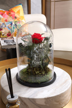 Charger l'image dans la galerie, Jardin enchanté rose éternelle rose rouge