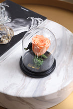 Charger l'image dans la galerie, medium-rose-eternelle→medium-rose-eternelle rose éternelle cloche rouge immortelle cadeau cadeaux entreprise mariage corporate femme fleuriste Casablanca cloche