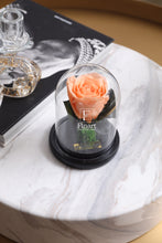 Charger l'image dans la galerie, fleurs séchées livraison cadeau cadeaux arrangement florale lys rose éternelle rose rouge fleuriste casablanca créations florales design floral décoration maison événements fleur éternelle rose immortelle éternelle rose rouge fleuriste sous cloche amour