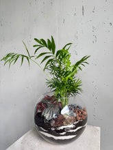 Charger l'image dans la galerie, Terrarium « Boule»
