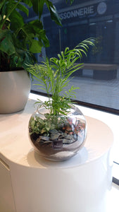 Terrarium « Boule»