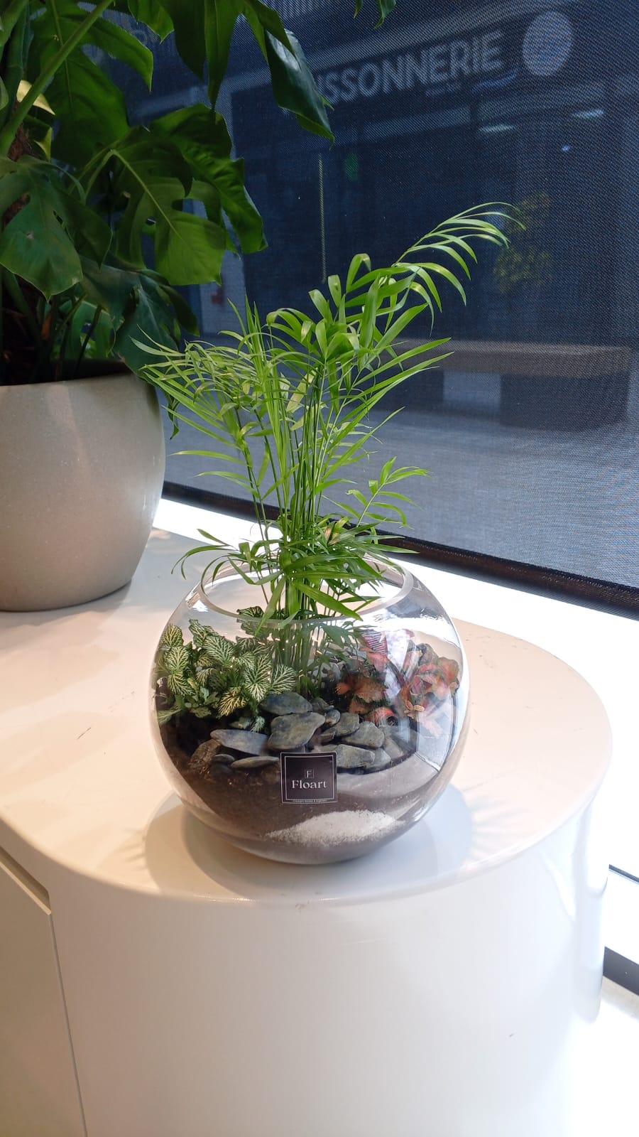 Terrarium « Boule»