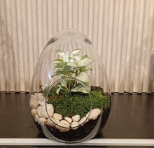 Charger l'image dans la galerie, Egg jardin
