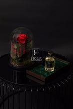 Charger l'image dans la galerie, Rose éternelle rouge sous cloche de verre Jardin Enchanté Floart Maroc
