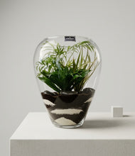 Charger l'image dans la galerie, Terrarium  « Globe green »
