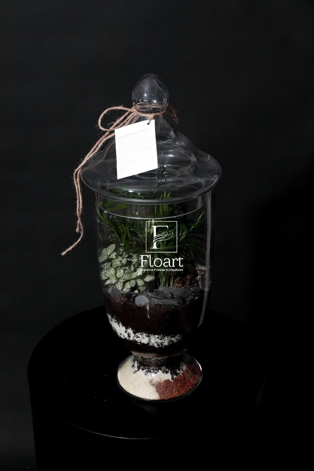 Terrarium green « Jungle »